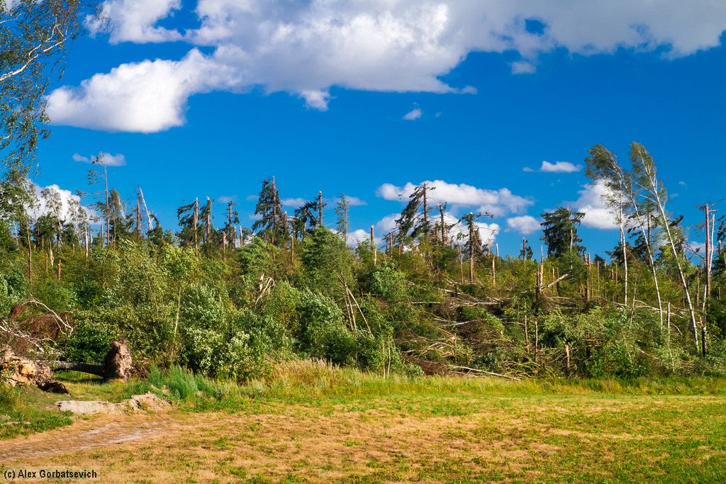 ����� �������