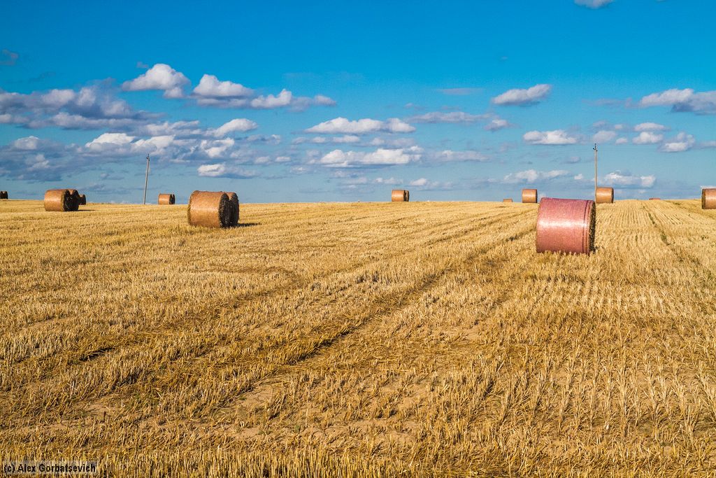 ��������� ����