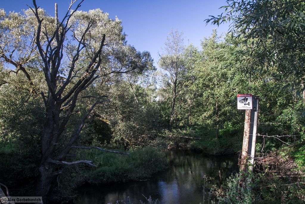 �� ���� ������