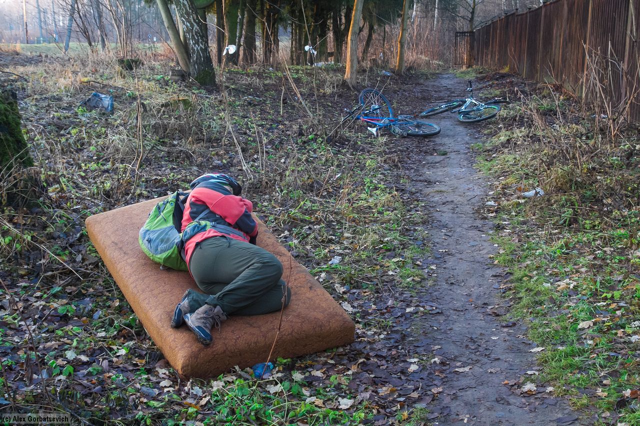 ����� 5 ����� �������