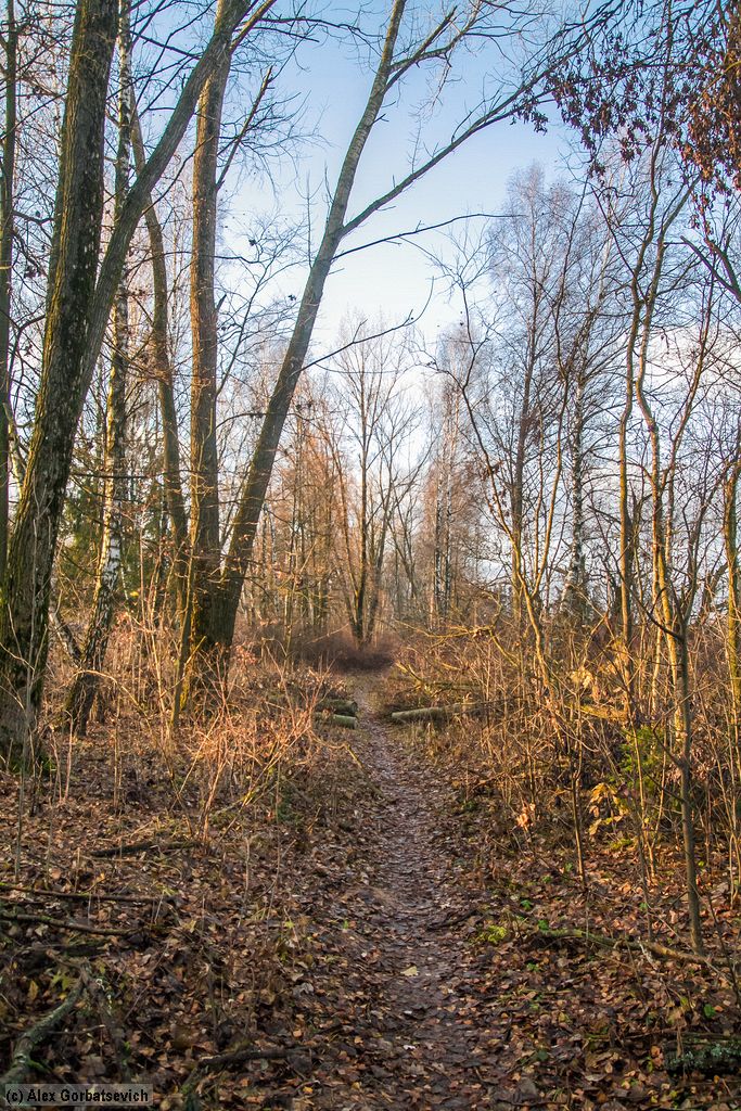 ������ �����