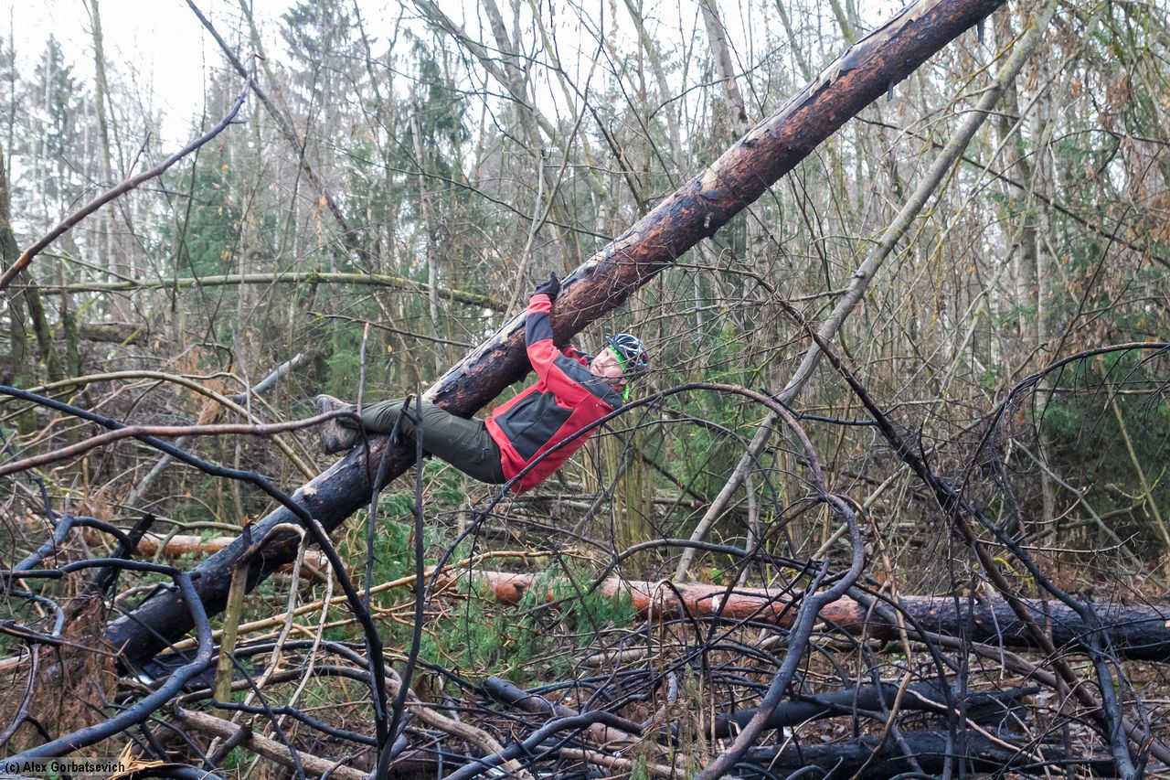 ���� � �������� ����