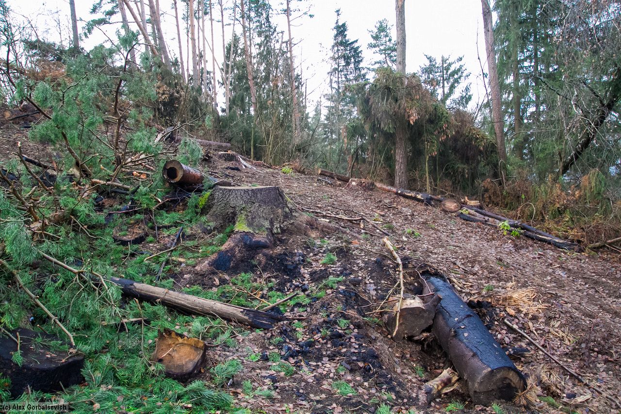 ��� � ������ ����� � ���