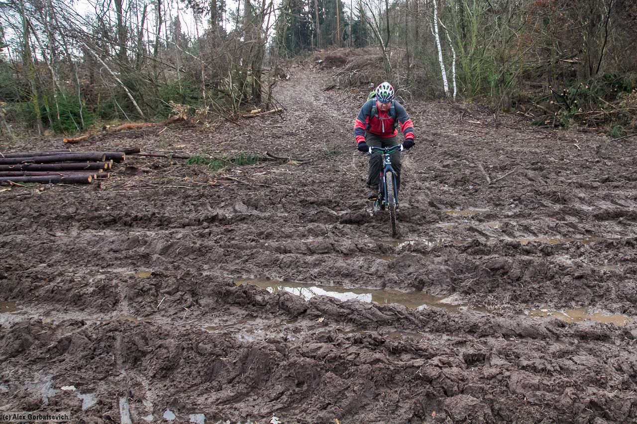 ��������� �������