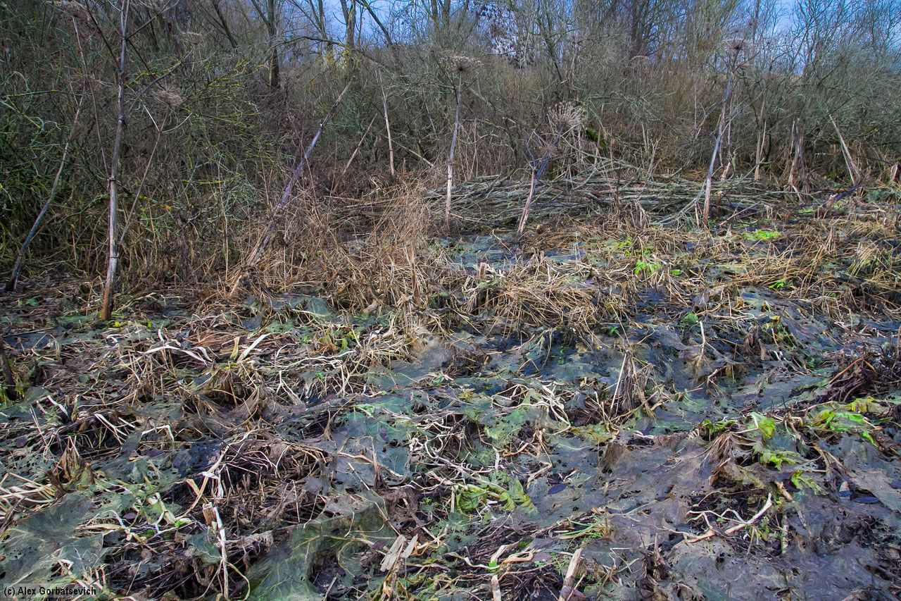 ����������