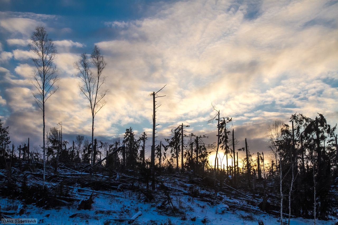 ����������� ���