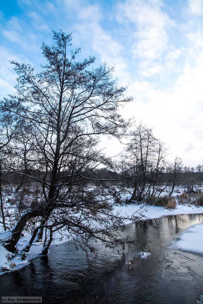 �� ������