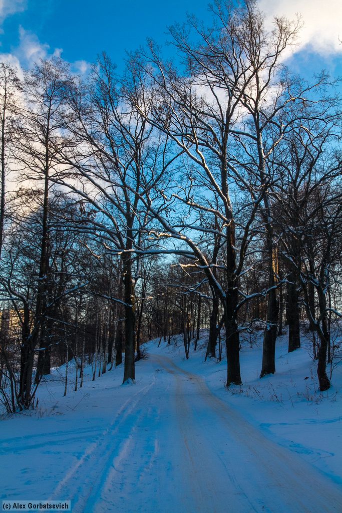 �� �����