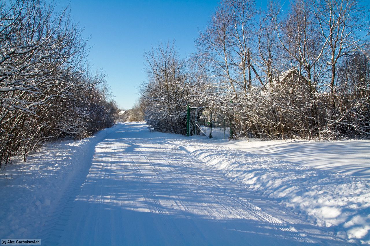 ������ ������