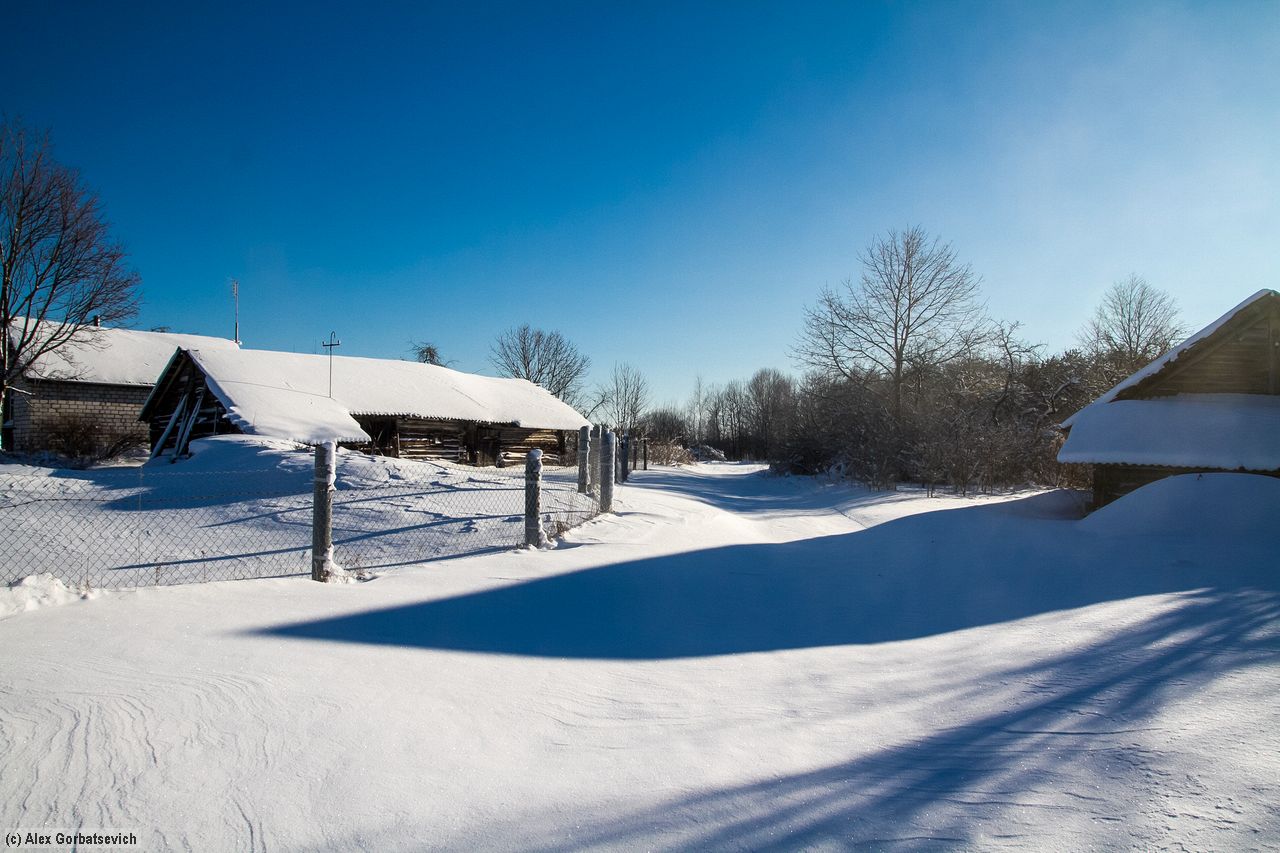 ���� ������