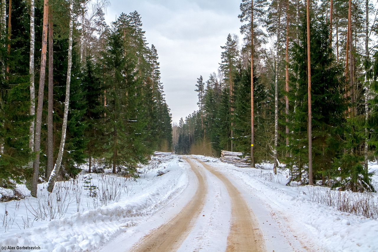 ������ �� �������