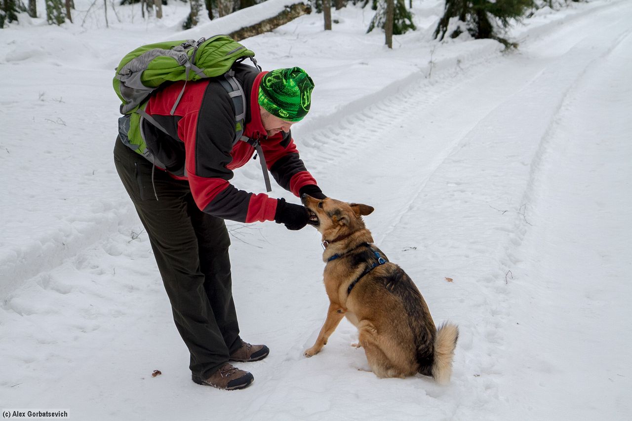 �� ��� ����, � - �� �������