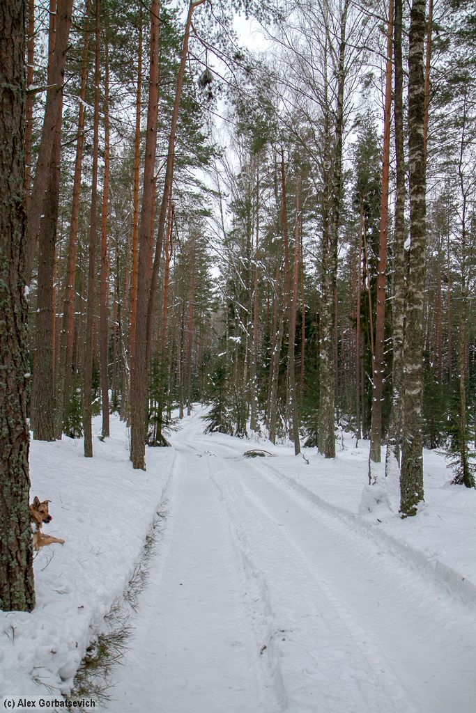 � ������