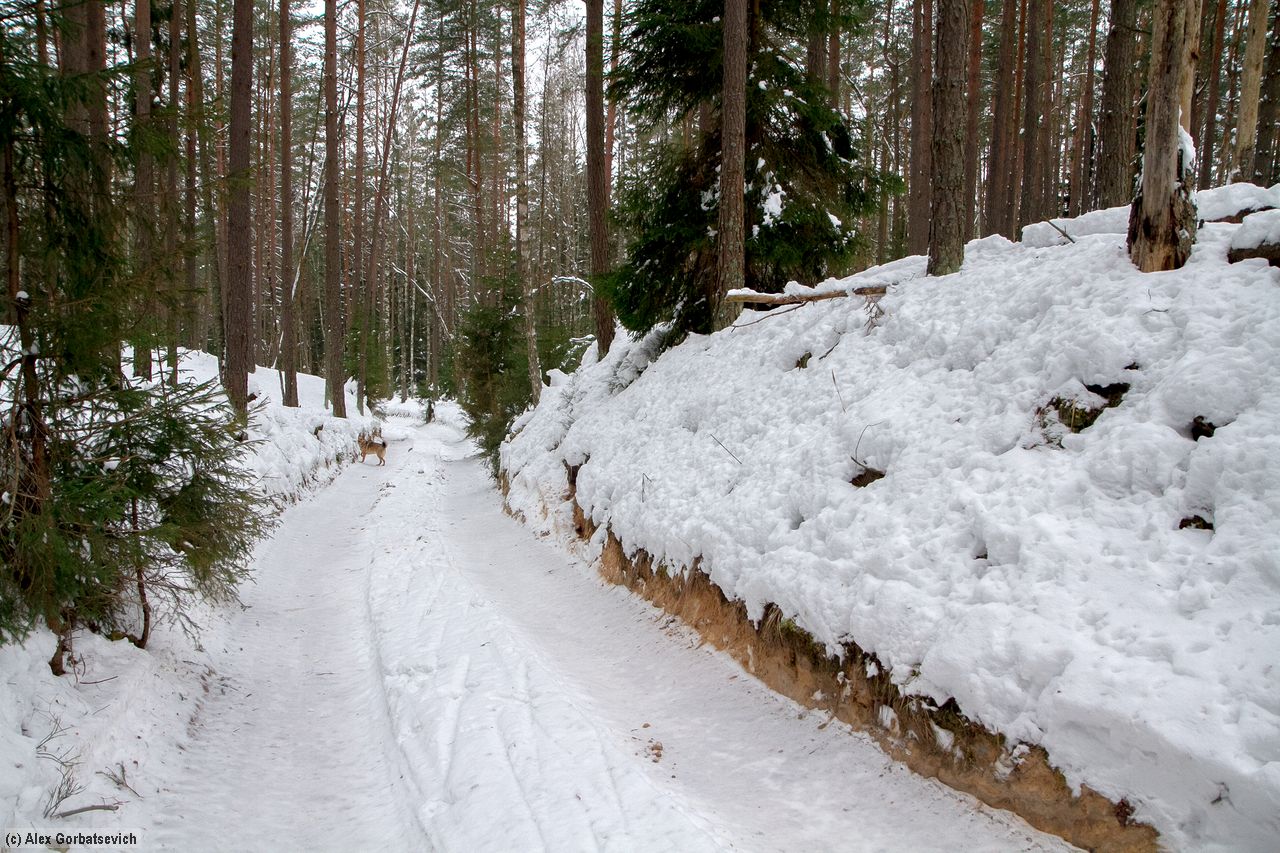 ������ � ����