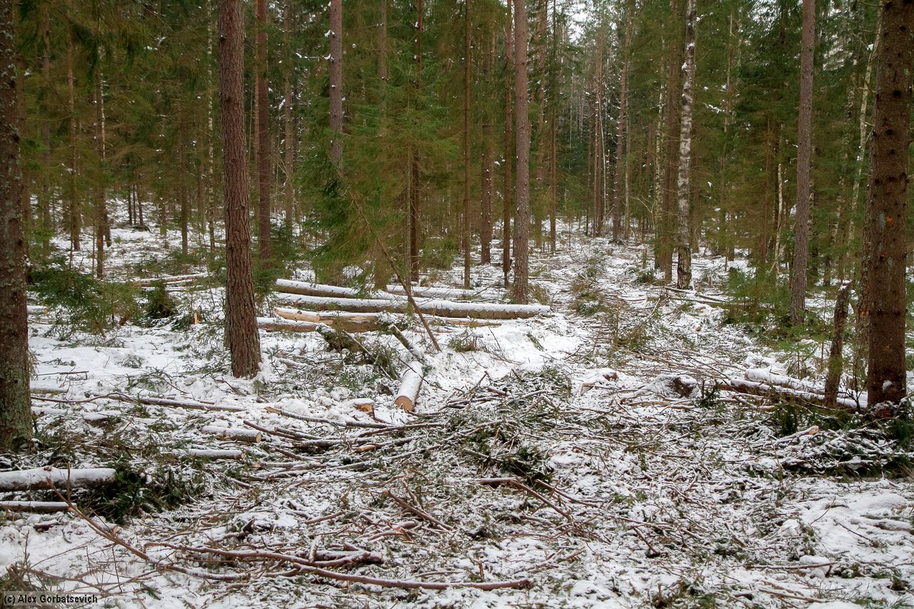 ����� �������������