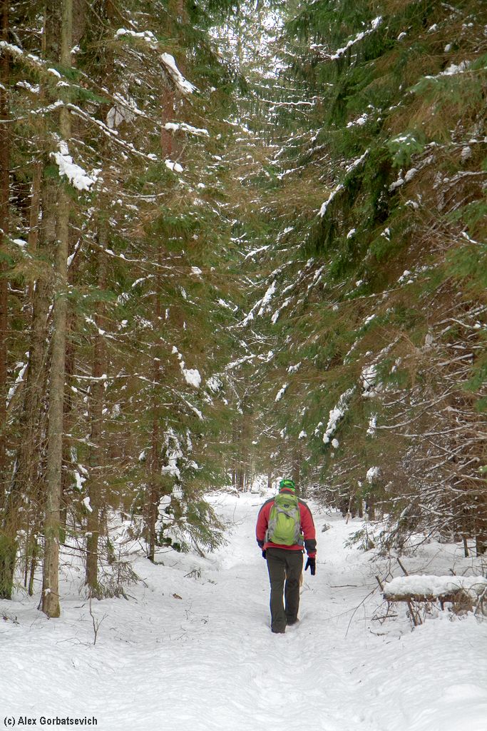 ����� ���