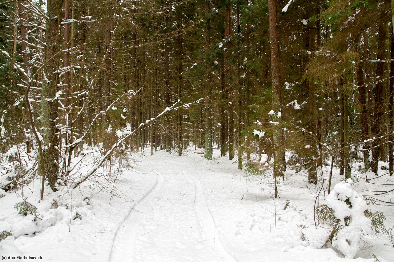 ������ � ����