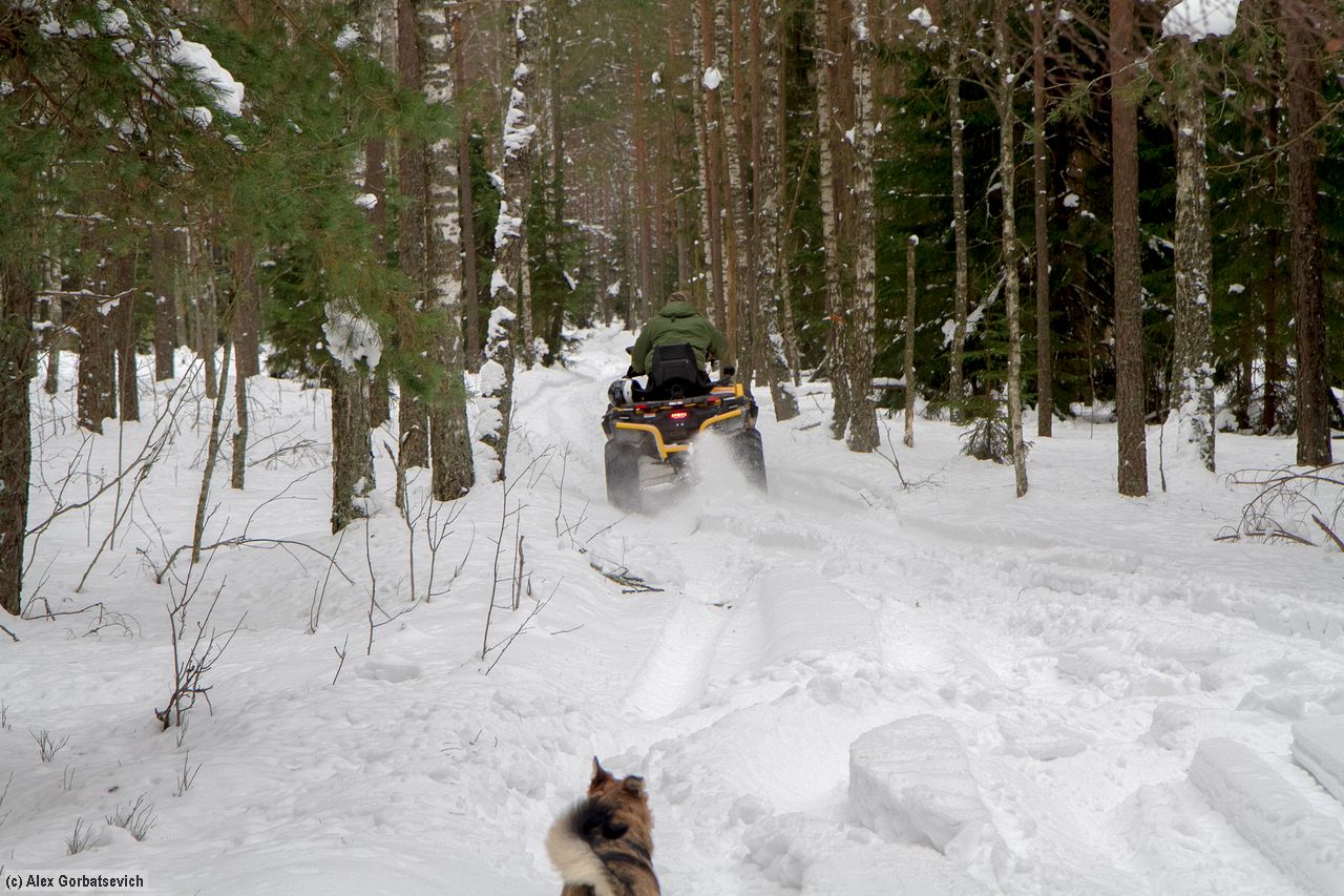 ���� ��������