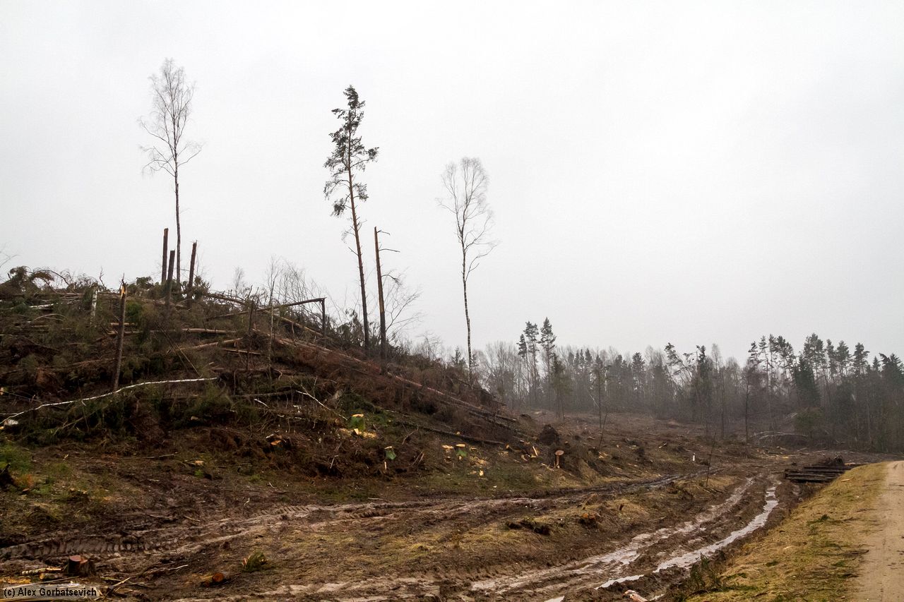 � ����� ��������� ������ ����