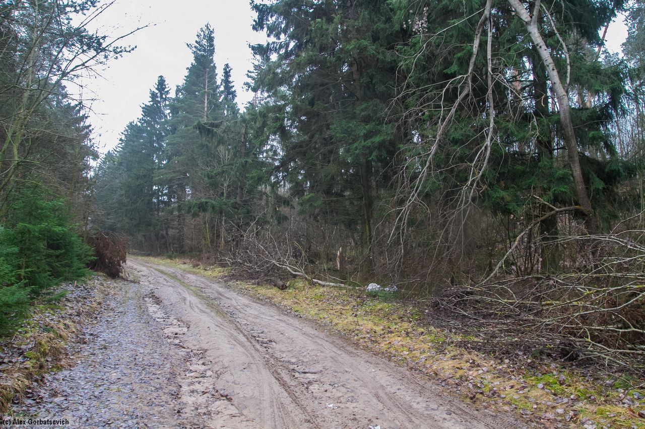 ������ �������