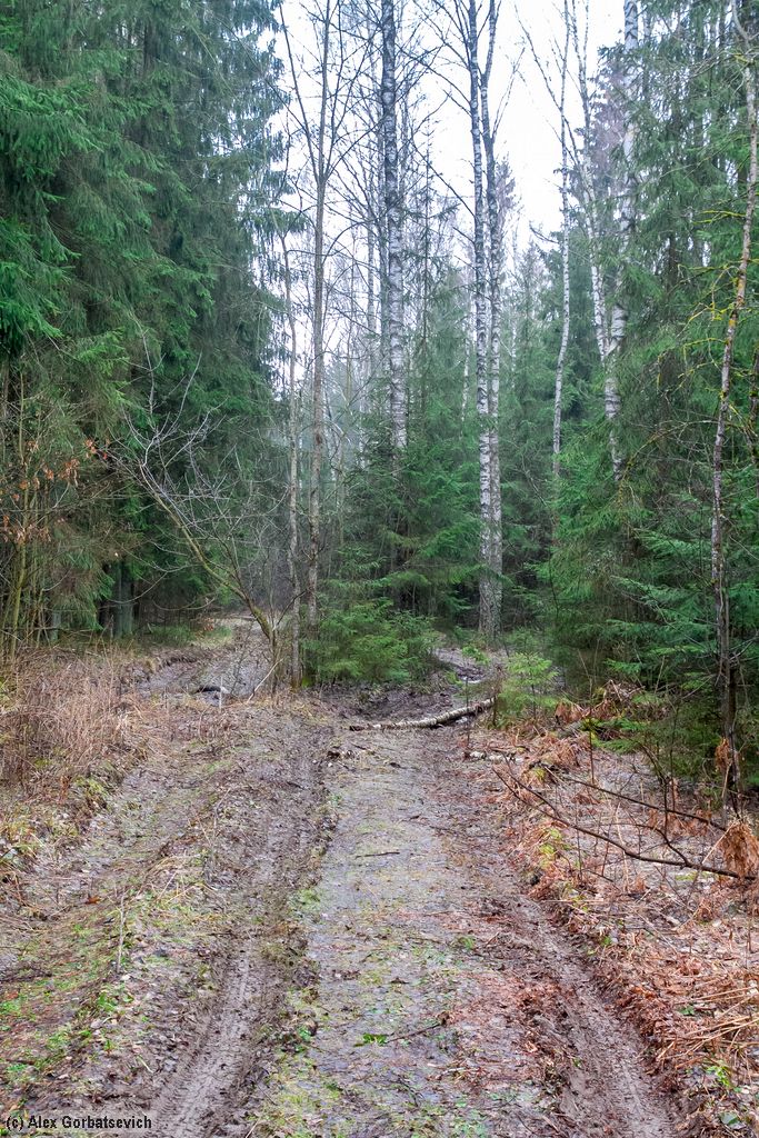 ������ � ������