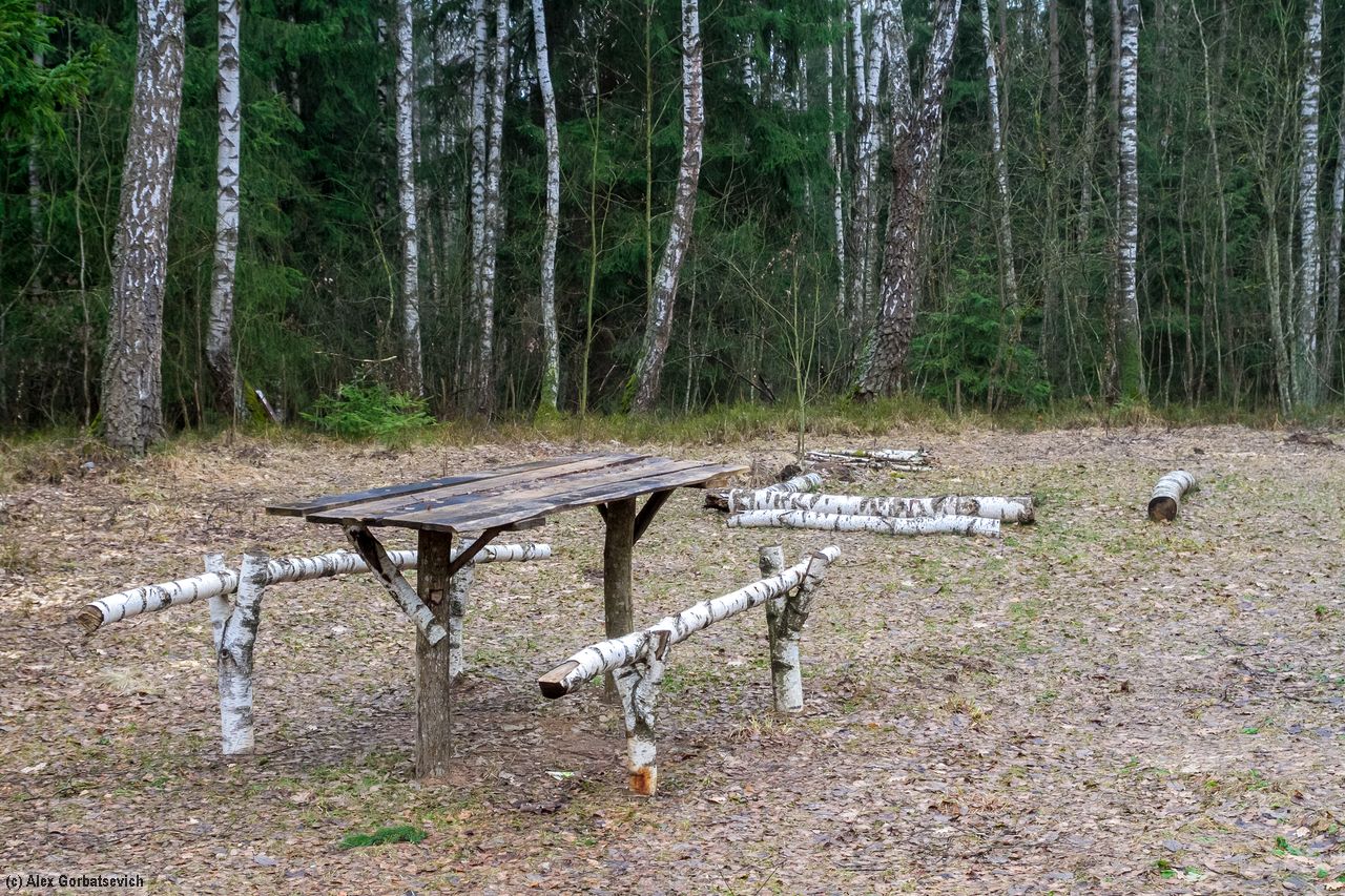 ����� ��� ������