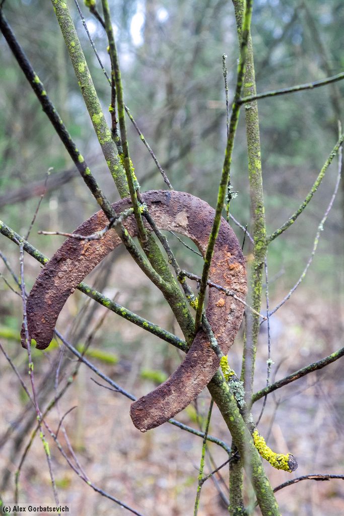 �� �������