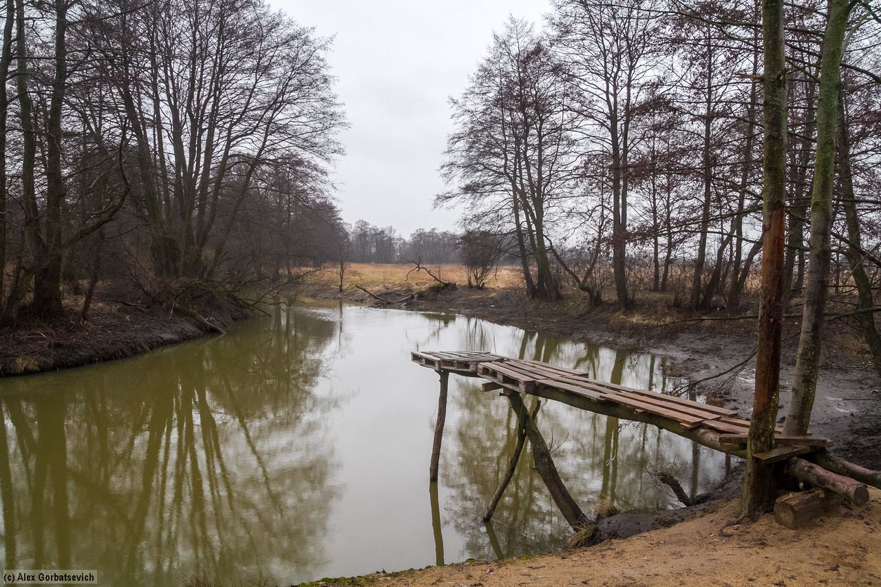 ������ ������...