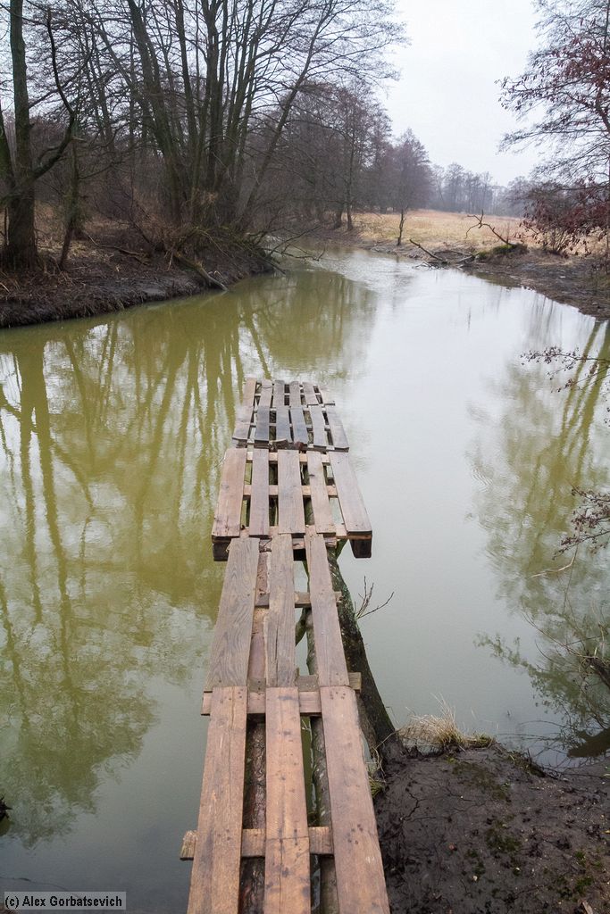 4 ����� ��...