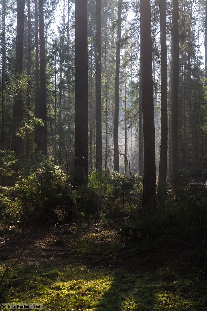 ����� � ����