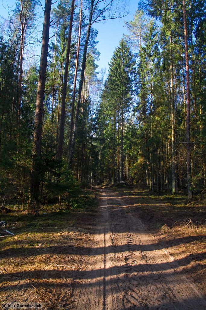 ������ ������