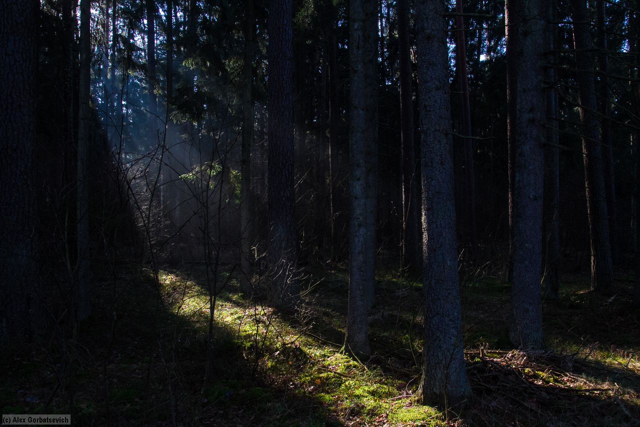 ����� ����� � ������ �������