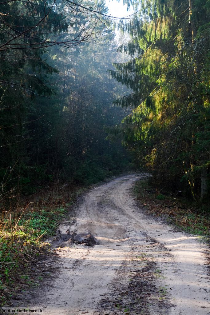 ������ � ����