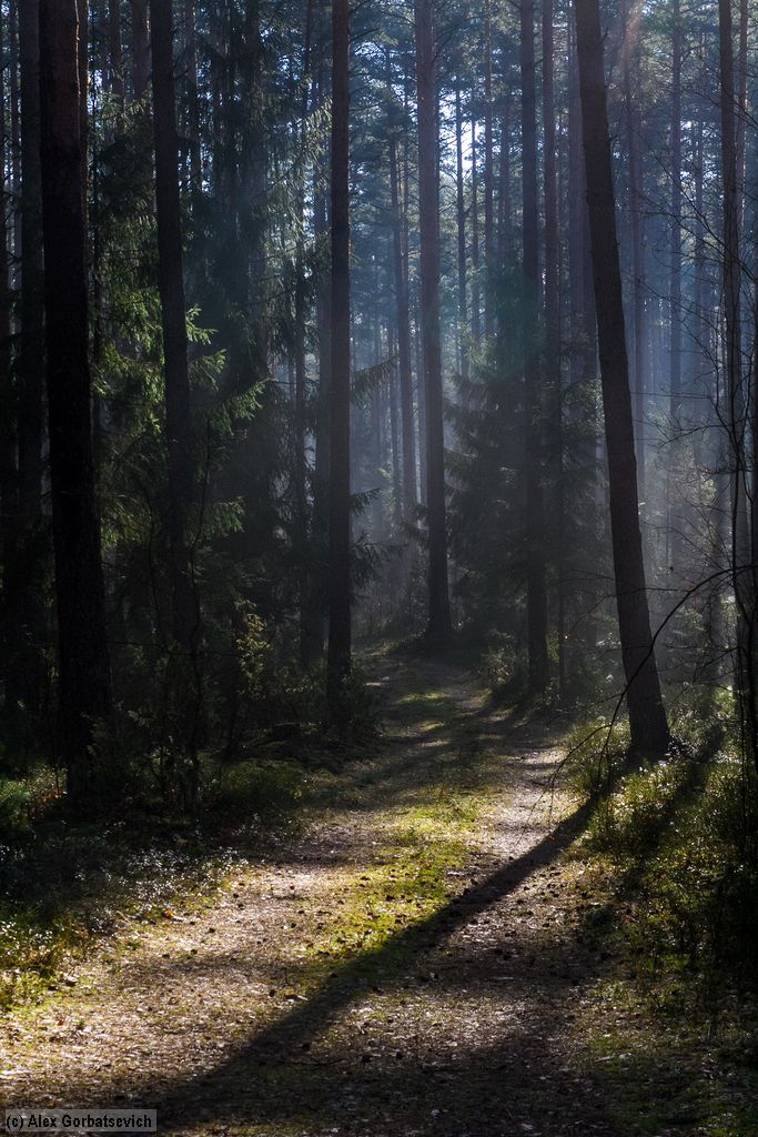 ��� �������� �����