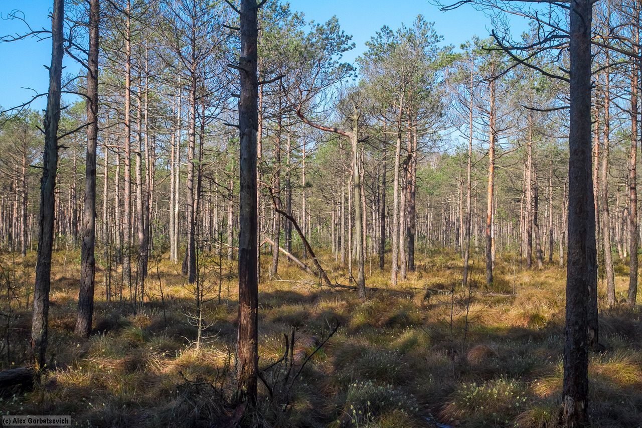 �������� ������