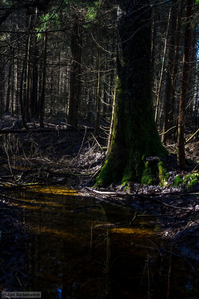 �������� � ����