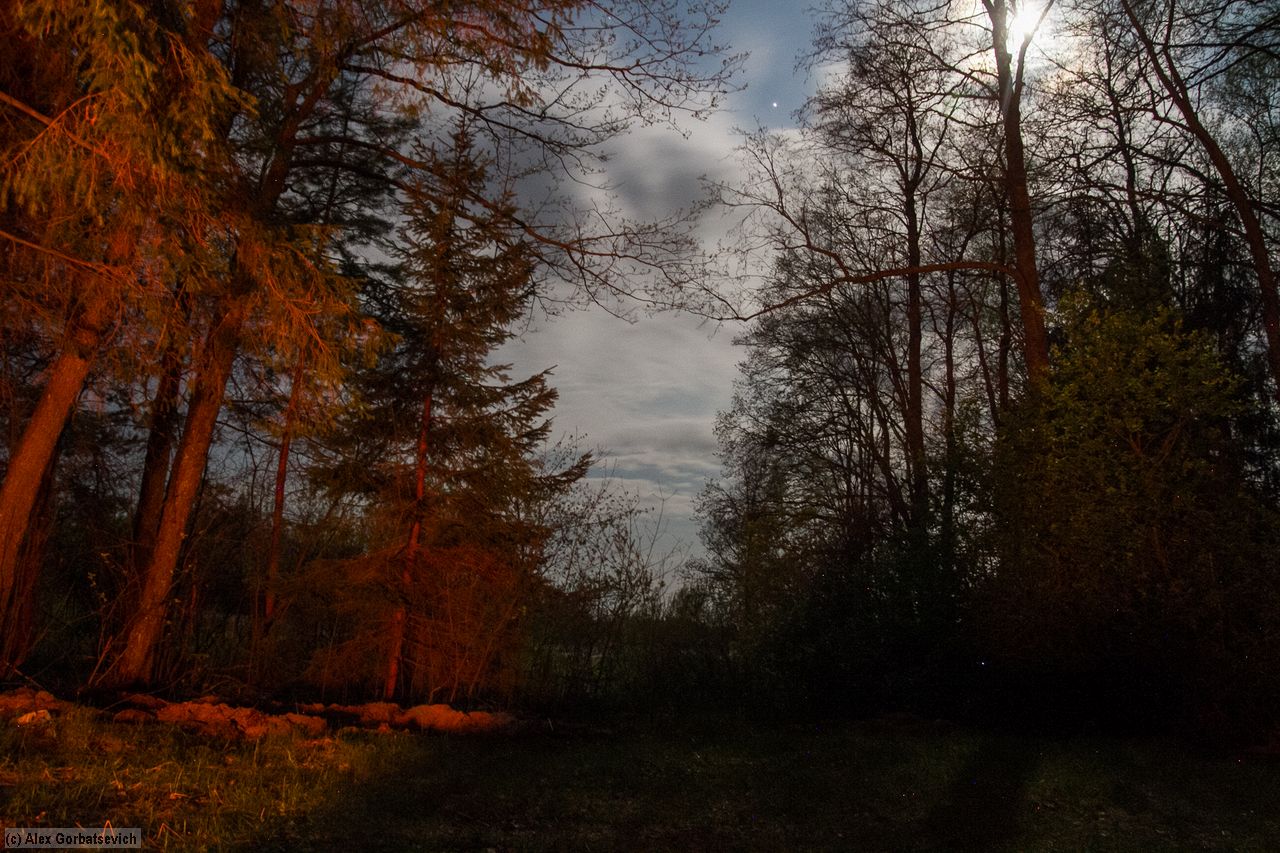 �� �������