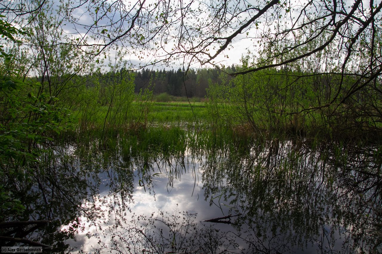 �� ��������