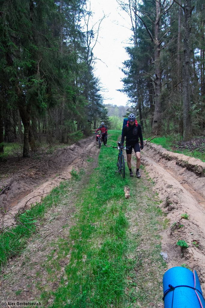 �� ������