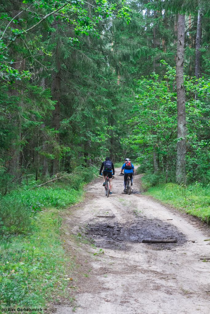 ������� �������