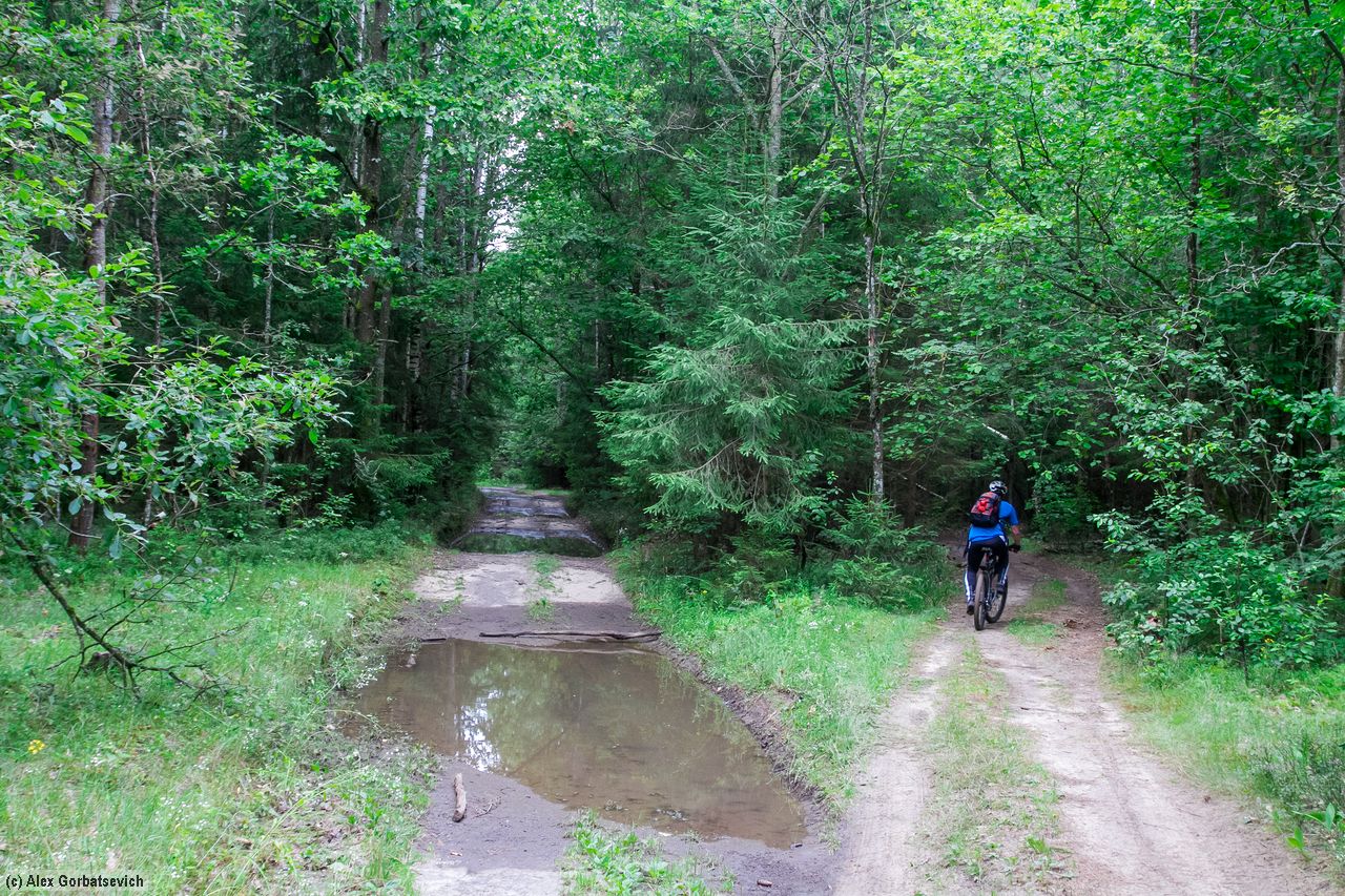 �� ���� �������...