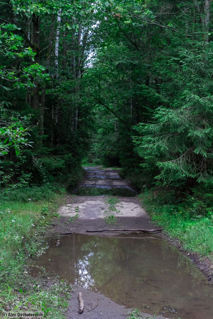 ������ ������