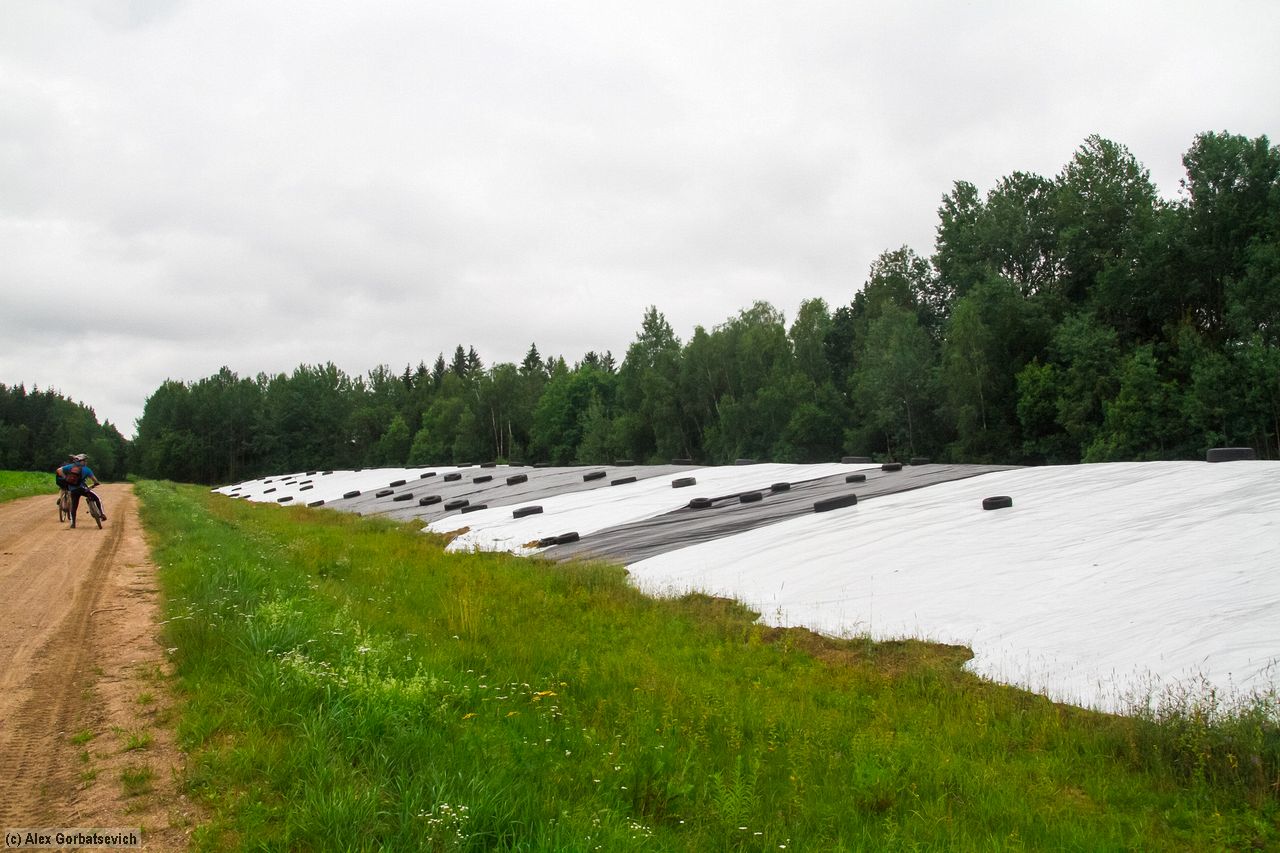 ���������� ����