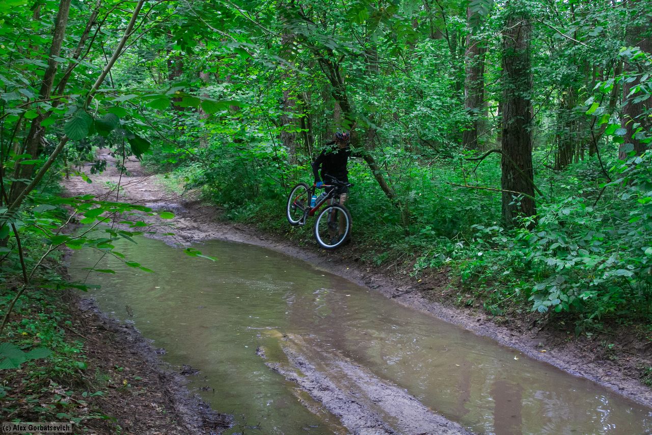 ������ �������