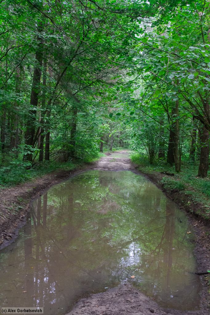 ������ �������