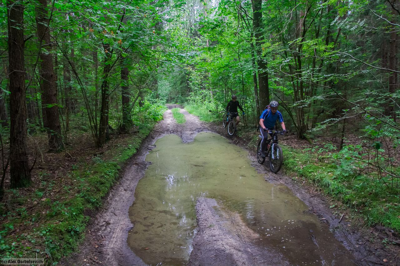 ������ �������