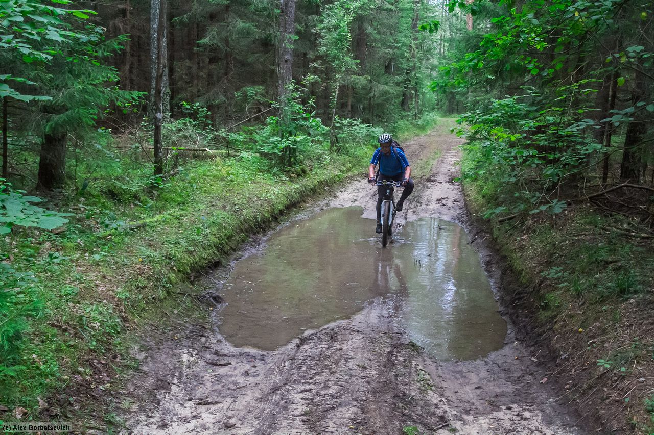 ������ �������