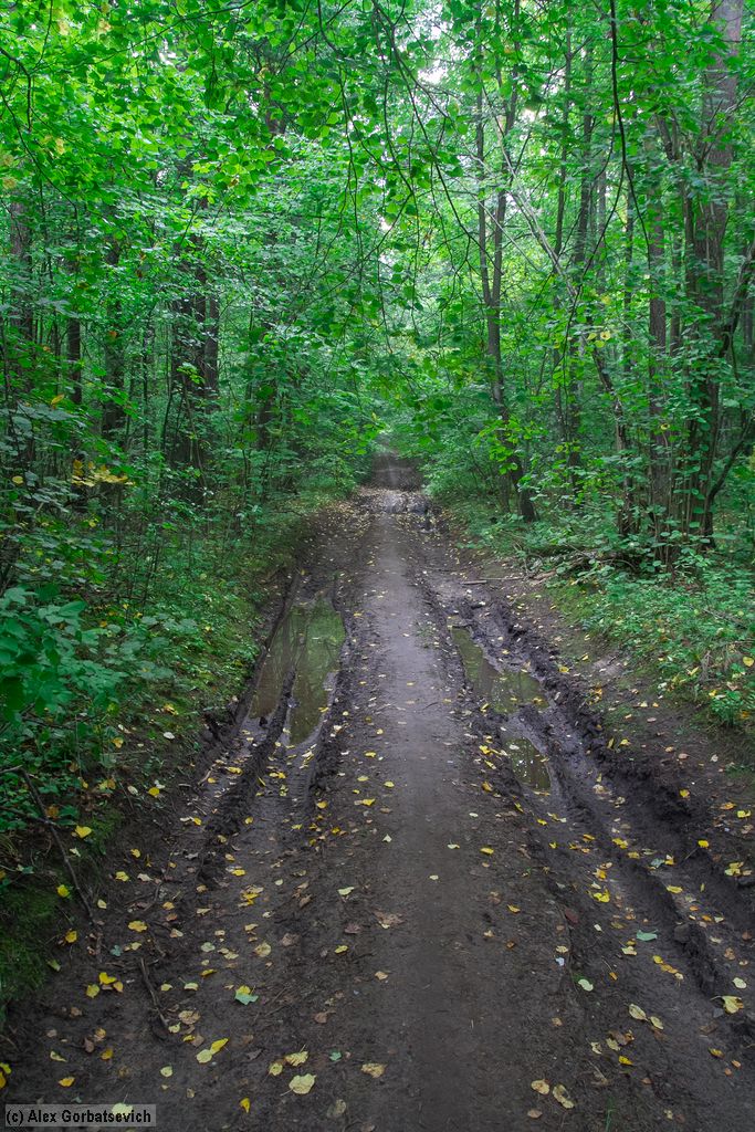 ������ �������