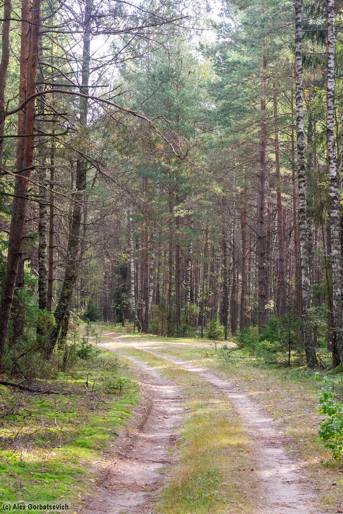 ������ �������