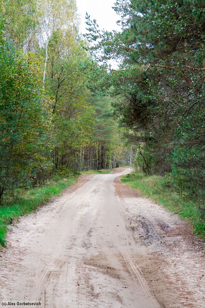 ������ ������